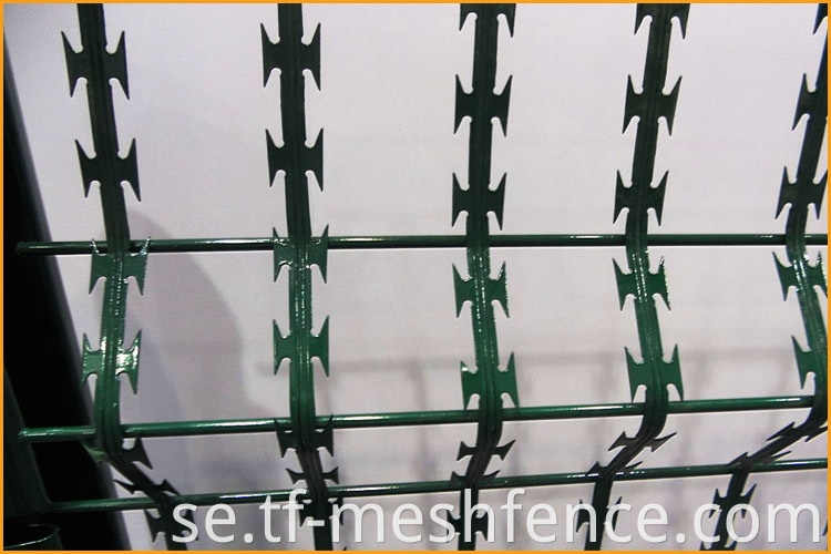 welded concertina razor wire mesh 7